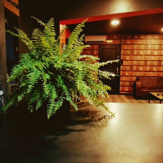 Chronopolis Escape Game