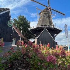 De Hoop