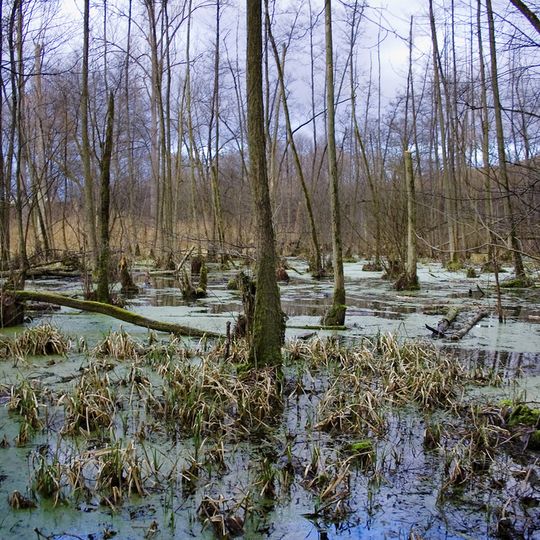 Lauffener Neckarschlinge
