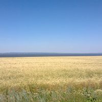 Alexeyevsky District