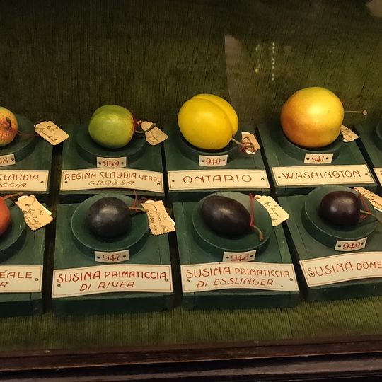 Museum of Fruit Francesco Garnier Valets