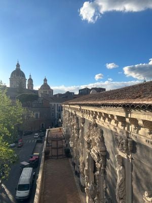 The view 1