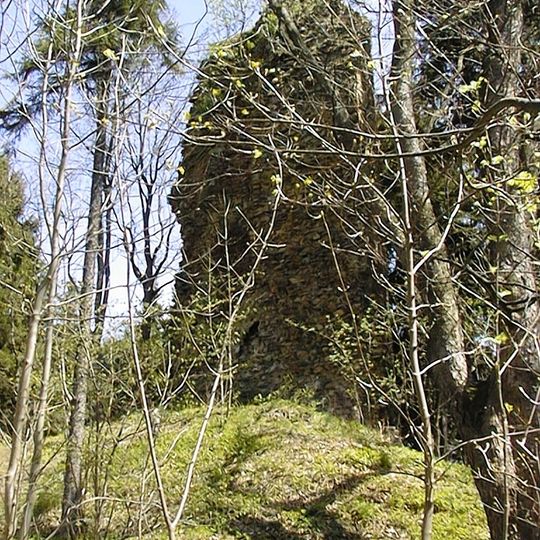 Zamek w Czarnym Borze