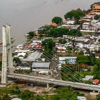 Coca