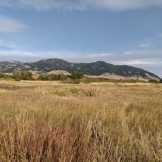 Cherry River Fishing access