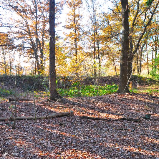 Landweer: Groote Heide