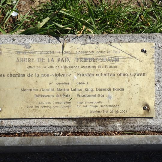 Arbre de la paix/Friedensbaum