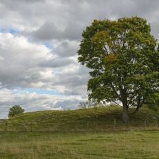 Nr 4 och 6: Kungshögarna