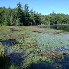 Corey Lake