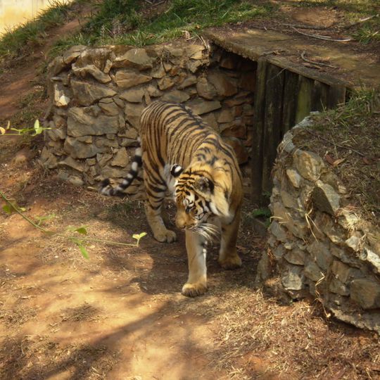 Zoological Garden of Belo Horizonte