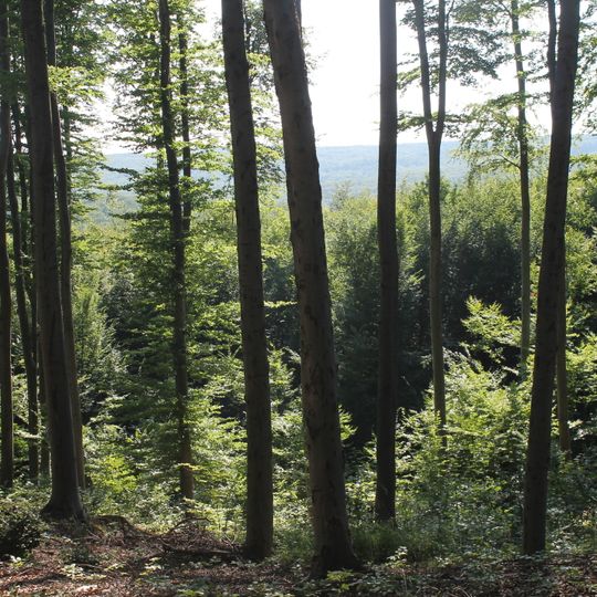 Petriwezkyj sakasnyk