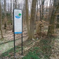 Siebentischwald