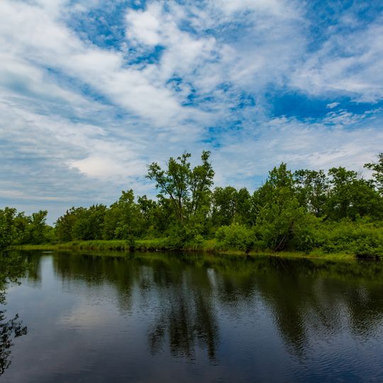 Cloquet Valley State Forest
