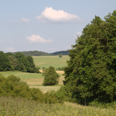 Naturschutzgebiet Talaue von Sausel und Rauchel
