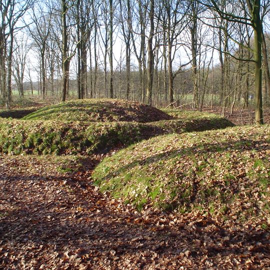 Tumuli 1-3 south of road Toterfout