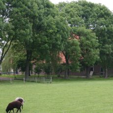 Vondel's Landleeuw: landbouwschuur