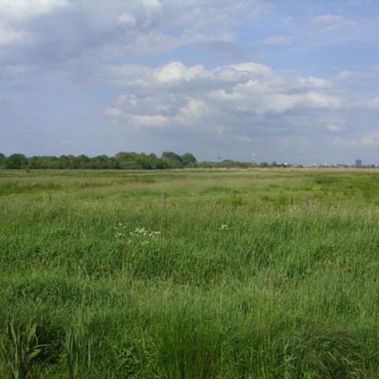 Ochtumniederung bei Brokhuchting