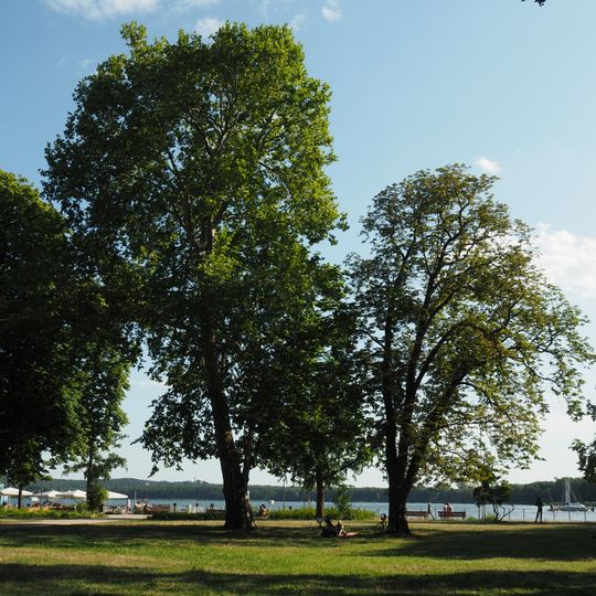 Müggelpark