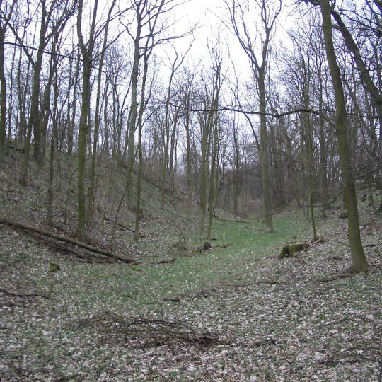 Reitweiner Wallberge