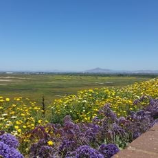 Border Field State Park