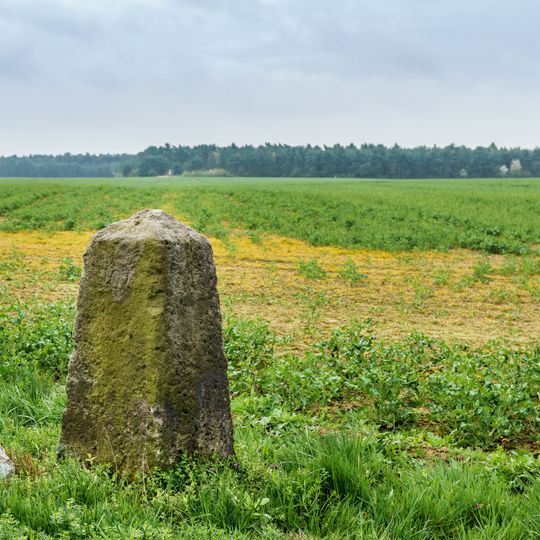 Sächsisch-Preußischer Grenzstein Nr. 207