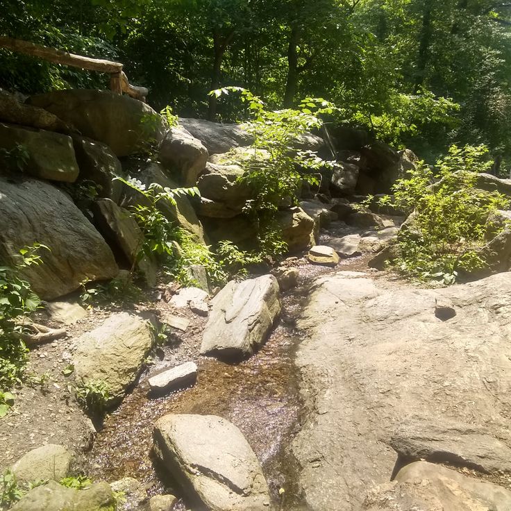 The Gill
