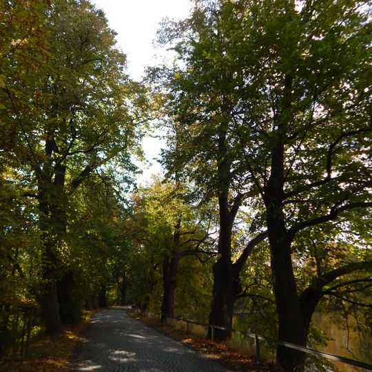 Lipová alej za zámkem