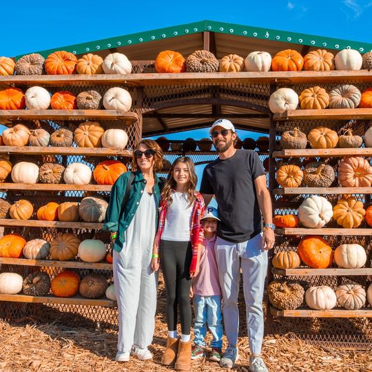 Maxwell's Pumpkin Farm