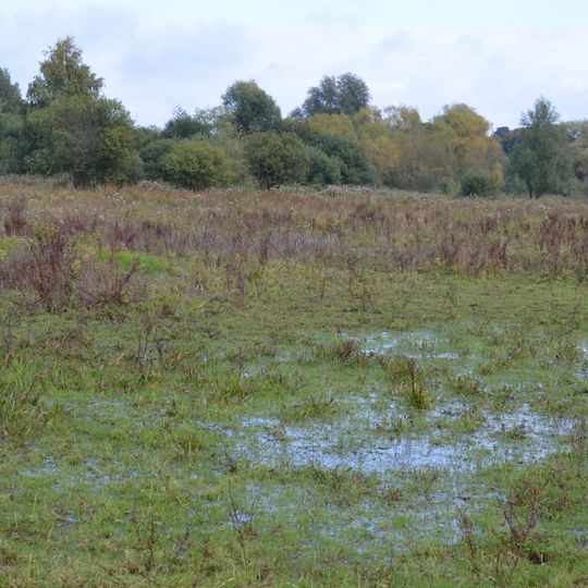 Little Hallingbury Marsh
