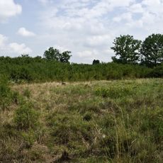 Jewish cemetery in Bolimów