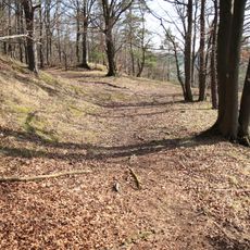 Ringwallanlage auf der Mühlkoppe