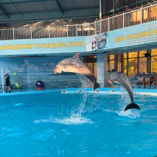 Дельфинарий