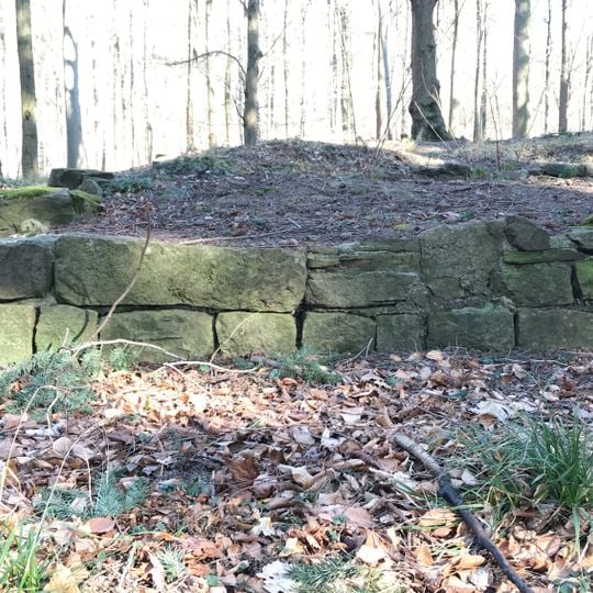 Ruine Wolfartsweier