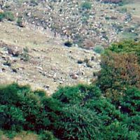 Samtshe-Cavaheti