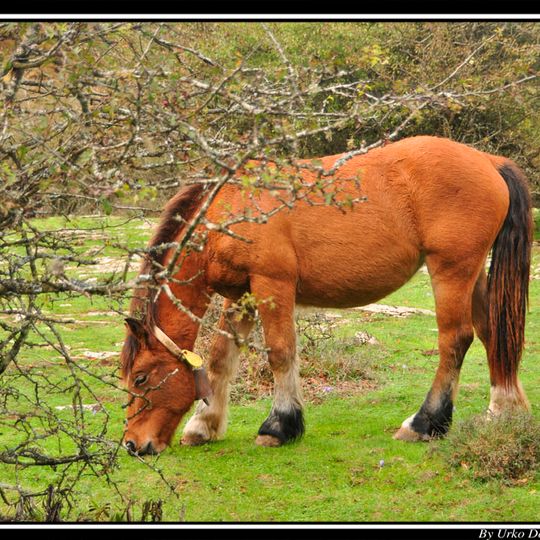 Venta de Urbasa-Urbasako benta