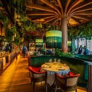 The most beautiful Rooftop Bars in Dubai