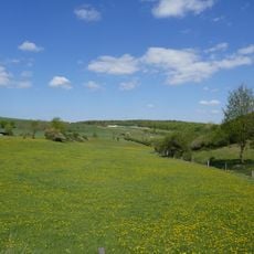 Fließgewässer und Trockentäler