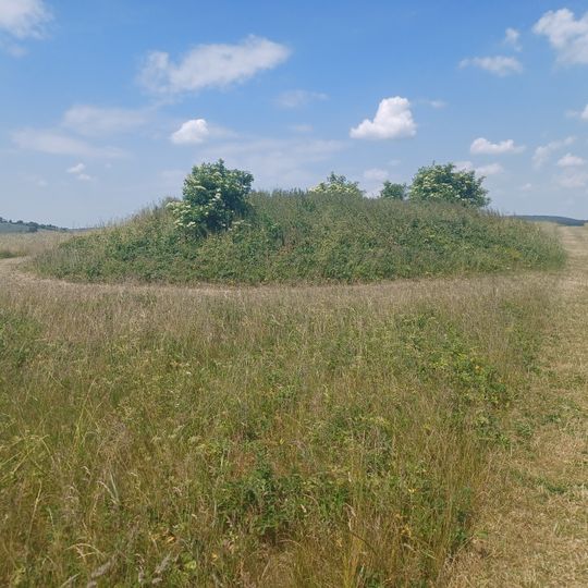 Three bowl barrows on Chalton Down, 860m east of Netherley Farm
