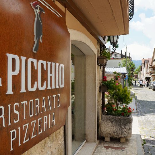 Il picchio