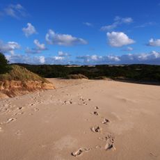 Henty Dunes