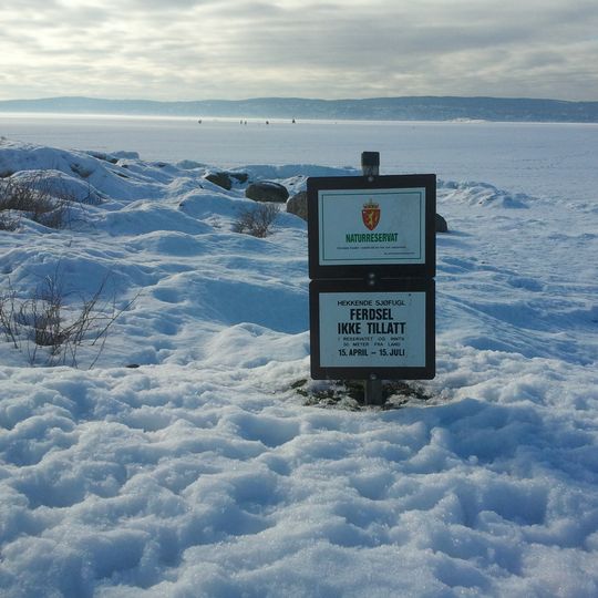 Malmøya og Malmøykalven