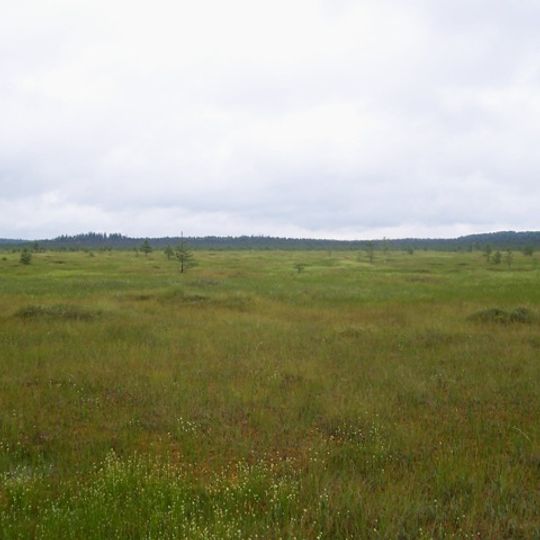 Staroselskiy Mokh swamp
