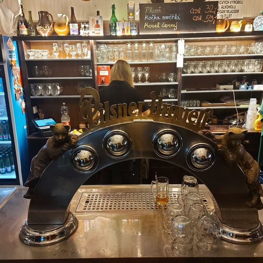 U Dvou koček