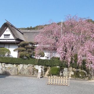 Kakiemon Kiln Site