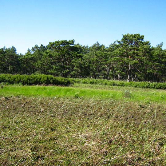 Rezerwat przyrody Białogóra