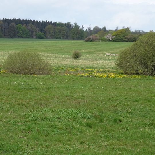 Schwärzwiesen bei Hülsa