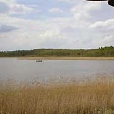 Breeser See