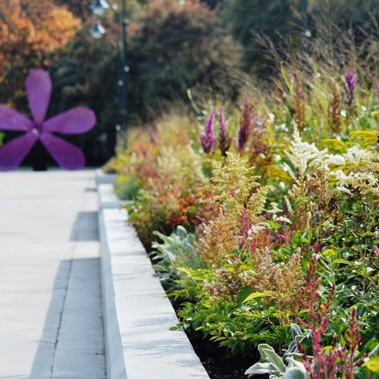 Lilac garden Shelkovskoe highway