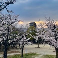 楠葉中央公園