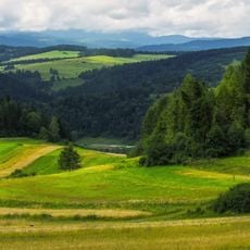 Parc national de Pieniny
